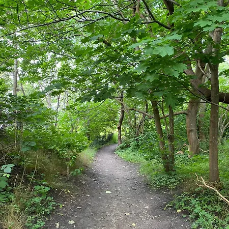 In The Area, Only Approx, 700 Meters From The Water, * Gilleleje