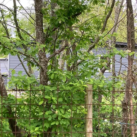 Hébergement de vacances In The Area, Only Approx, 700 Meters From The Water,